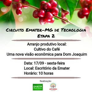 Read more about the article CULTIVO DO CAFÉ:  Uma nova visão econômica para Dom Joaquim