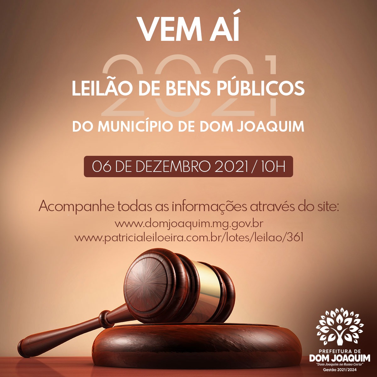 Read more about the article LEILÃO DE BENS PÚBLICOS
