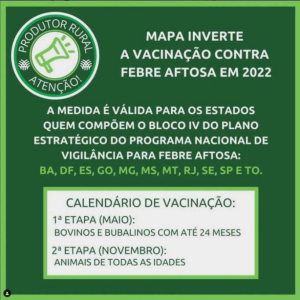 Read more about the article MAPA INVERTE A VACINAÇÃO CONTRA FEBRE AFTOSA EM 2022