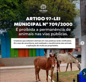 Read more about the article A Prefeitura Municipal de Dom Joaquim pede a colaboração de todos os criadores de animais (equinos e bovinos em geral), para que não os deixem soltos nas vias públicas da cidade.