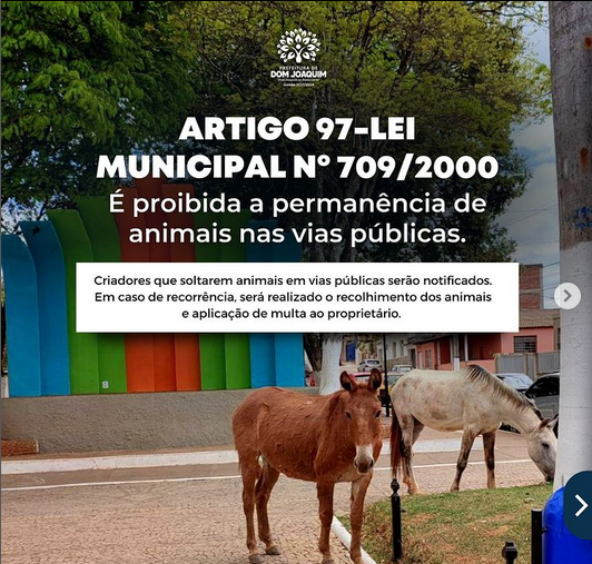 A Prefeitura Municipal de Dom Joaquim pede a colaboração de todos os criadores de animais (equinos e bovinos em geral), para que não os deixem soltos nas vias públicas da cidade.