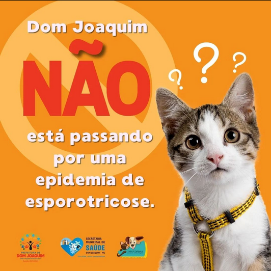 Read more about the article 🛑”Dom Joaquim não está passando por uma epidemia de esporotricose.