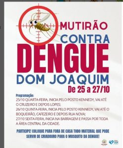 Read more about the article Mutirão Contra Dengue.