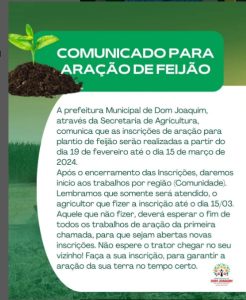 Read more about the article Aração de feijão.